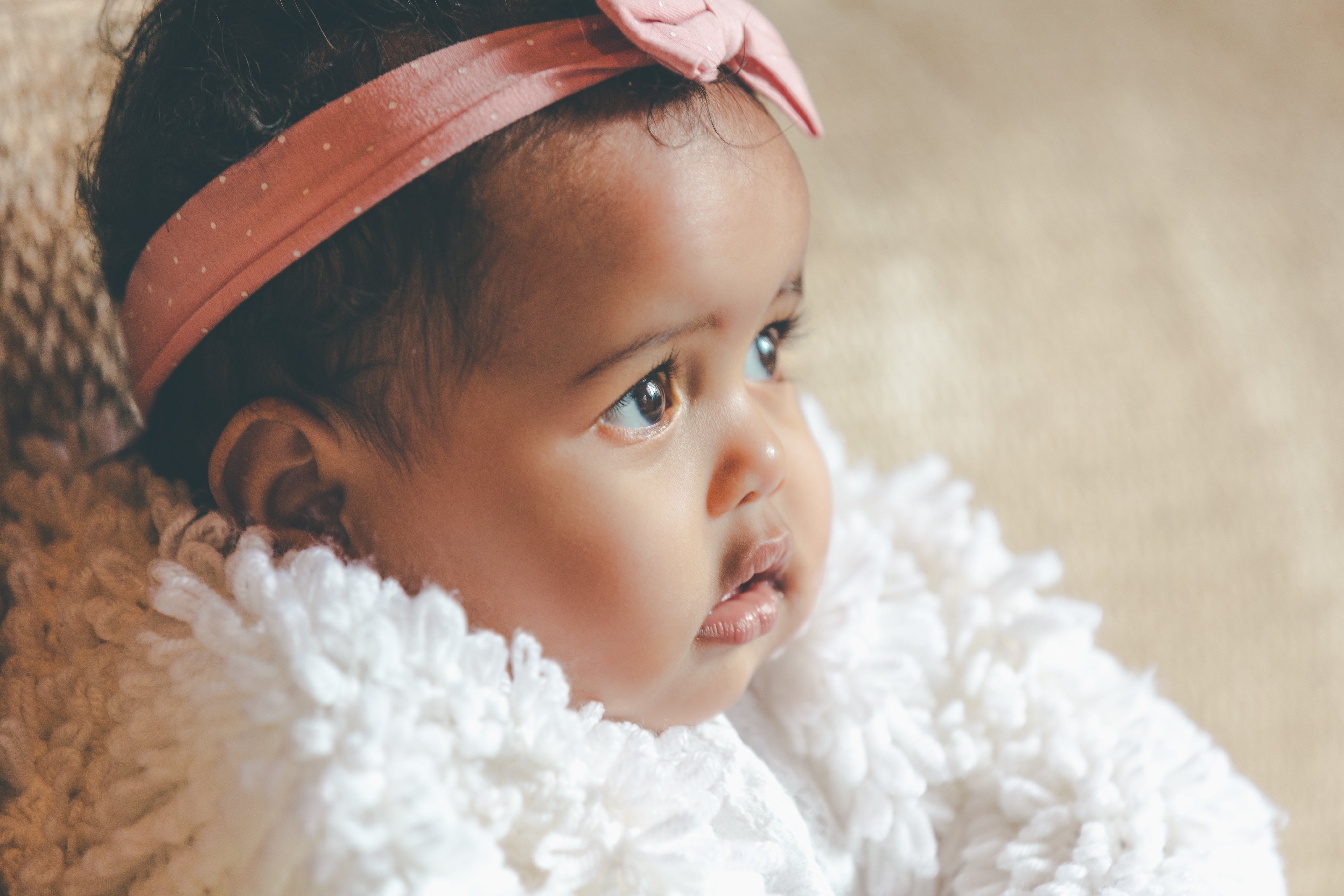 <em>Aurelia Lucia G .</em>